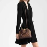 Louis Vuitton Damier Ebene Canvas Alma BB N41221 - Image 2