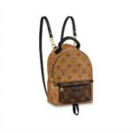 Louis Vuitton Monogram Canvas Palm Springs Backpack Mini M42411