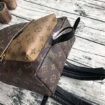 Louis Vuitton Monogram Canvas Palm Springs Backpack PM M43116 - Image 5