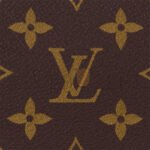 LOUIS VUITTON SPEEDY TRUNK 20 MONOGRAM M11154 (21*15*13cm) - Image 8