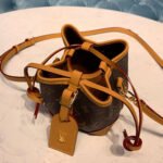 Louis Vuitton Monogram Canvas Mini Bucket Bag M57099 - Image 7