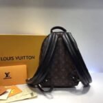 Louis Vuitton Monogram Canvas Palm Springs Backpack PM M41560 - Image 7