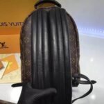 Louis Vuitton Monogram Canvas Palm Springs Backpack PM M41560 - Image 8