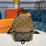 Louis Vuitton Monogram Canvas Palm Springs Backpack Mini M42411 - Image 2