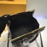 Louis Vuitton Speedy Doctor 25 Handbag M51468 - Image 9